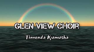 Glen View SDA Choir  Tinoenda Kumusha [upl. by Ime601]