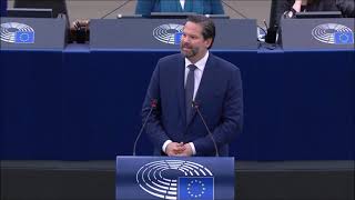 Lukas Mandl in the European Parliament critical on Borrell 08102024 [upl. by Anij]