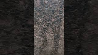 Honey Brown Granite Slabs  Available on IndiaMART [upl. by Thanasi]