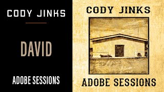 Cody Jinks  quotDavidquot  Adobe Sessions [upl. by Odraleba]