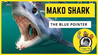 MAKO SHARK [upl. by Torrance675]