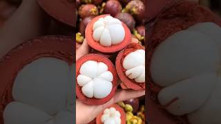 Mangosteen Queen Of Fruits ❤️ short ytshorts fruit [upl. by Brandyn]