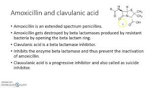 amoxicillin and clavulanic acid interaction [upl. by Oflodor550]