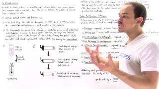 Centrifugation Separation Methods  Physics [upl. by Landan]