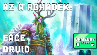 AZ A ROHADÉK FACE DRUID [upl. by Messere198]