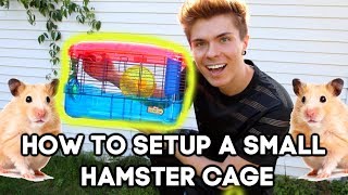 How to PROPERLY setup a SMALL Cage for a HAPPY amp HEALTHY Hamster [upl. by Tor]