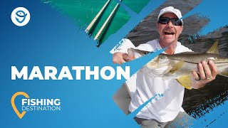 Fishing in Marathon All You Need to Know  FishingBooker [upl. by Jaala310]