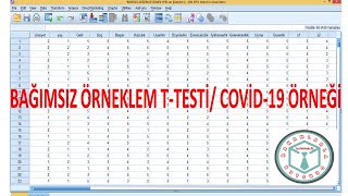 SPSS ile T TESTİ  INDEPENDENT SAMPLE T TEST Lütfen açıklamayı okuyun [upl. by Rella365]