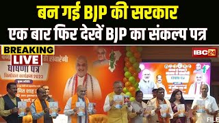 CG Election Result 2023 छत्तीसगढ़ में BJP की सरकार। एक बार फिर याद कर लें BJP के किए गए वादे [upl. by Licec187]