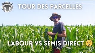 TOUR des PARCELLES LABOUR VS SEMIS DIRECT [upl. by Fredrika870]