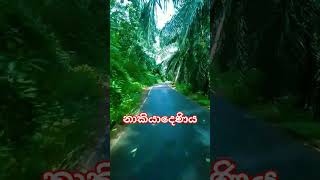 💥❤️🇱🇰නාකියාදෙණිය srilankaudugamaoiltravel travelvlogkatharagamatravelgramtravalingtraveling [upl. by Jen]