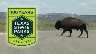 Caprock Canyons State Park I 100 Year Celebration Texas Country Reporter [upl. by Ilek126]