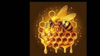 Harvesting Wild Honey SO Satisfying [upl. by Aniram]