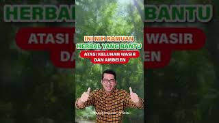 Ini Dia Herbal Rahasia Atasi Wasir dan Ambeien [upl. by Inami]