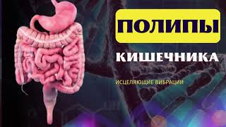 КИШЕЧНИК🔆ИСЦЕЛЯЮЩАЯ МУЗЫКА ДЛЯ ОЗДОРОВЛЕНИЯ ЖКТ [upl. by Cathie]