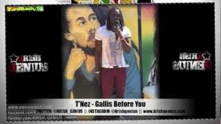 TNez  Gallis Before You Team Brit Jam Riddim Jan 2013 [upl. by Wyler]