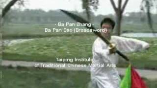 Yinyang Bapanzhang Broadsword 河北 阴阳八盘掌  八盘刀 [upl. by Aihsram]