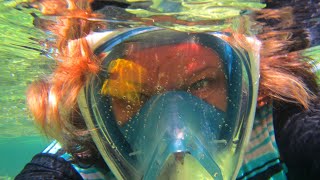 Snorkeling in Cuba Memories Jibacoa resort [upl. by Rector266]