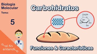 ¿Qué NECESITAS saber sobre los carbohidratos quotAzúcaresquot [upl. by Toscano307]