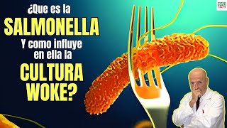 ✅ ¿QUE ES LA SALMONELLA Y PORQUE ES TAN IMPORTANTE AHORA POR LA CULTURA WOKE ✅ [upl. by Cheria492]