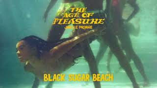 Janelle Monáe  Paid In Pleasure Official Audio [upl. by Akimahs]