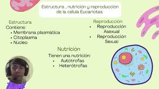 Células Procariota y Eucariota Biología [upl. by Gnoz]