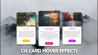 CSS Card Hover Effects  HTML amp CSS [upl. by Kiefer]