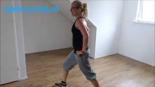 12 min Cardio Workout  Vetverbranding en Conditie [upl. by Loos]