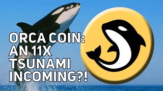 ORCA COIN  THE DECENTRALISED EXCHANGE FOR SOLANA  11X TSUNAMI INCOMING [upl. by Fagaly]