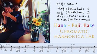 【ハーモニカ 楽譜】 花  藤井 風  クロマチックハーモニカ カバー 穴番号 Cover Hana Fujii Kaze harmonica tutorial [upl. by Eceinart]