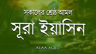 সকালের শ্রেষ্ঠ আমল সুরা ইয়াসিন l Surah Yaseen l amol l سوره يس Record by Alaa Aqel [upl. by Aidil]