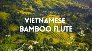 Vietnamese Bamboo Flute to Lift Your Spirit [upl. by Deeann]