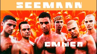 Смысл Seemann Rammstein за 50 секунд [upl. by Avalsorim]