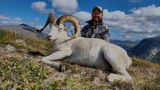 A Season of Yukon Guiding Dall Sheep and Moose [upl. by Annohsal881]