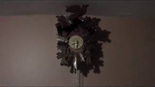 Cuckoo clock setup guide [upl. by Enimasaj]