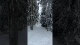 🗻⛷️ freeride backcountry skiing PoianaBrasov skilessons March21 [upl. by Stonwin831]