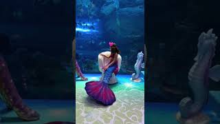 🧜‍♀️❤️ booshramamad choupinette mermaid [upl. by Donni]