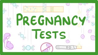 GCSE Biology  How do Pregnancy Tests Work 41 [upl. by Seedman]