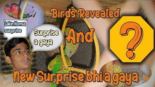 Hmara pas new surprise a gaya  or sub birds reveal kar dia [upl. by Ledairam]