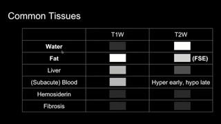 Introduction to MRI Basics 2  T1 and T2 relaxation what tissues look like [upl. by Nennahs]