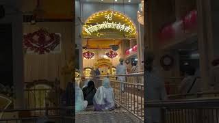 Shri Guru HarKrishan sahib jii shortvideo fyp amritsar india [upl. by Anastatius57]