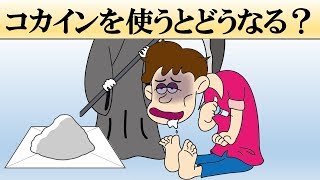 【科学】コカ〇ンを使うとどうなる？【薬物】 [upl. by Ainafetse964]