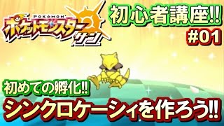 【ポケモンSM】初心者講座！ポケモン サンムーン実況プレイ！Part1 【シンクロケーシィ厳選】 [upl. by Yennaiv306]