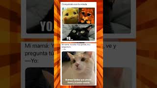 Memes de gatos 3 [upl. by Eseneg]