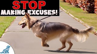 10 Excuses Ruining Your Loose Leash Walking Training [upl. by Yaya]