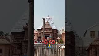 Tu para Bhakata Hrudaya Bihari Odia Jagannath Bhajan music song newsong devotionalbhajans [upl. by Macrae825]