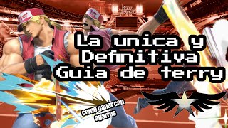 Guia de Terry parte 1 Remake quotcombos basicos y con agarrequot [upl. by Ulrica886]