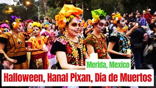 Hanal Pixan and Dia de los Muertos in Merida [upl. by Cherri]