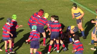 Downlands v Toowoomba Grammar u12 game [upl. by Ecnerol21]