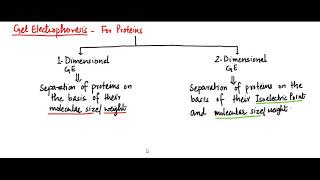 1Dimensional Gel Electrophoresis for Proteins [upl. by Narual]